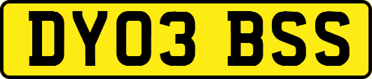DY03BSS