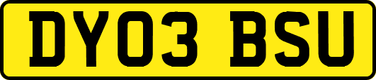 DY03BSU
