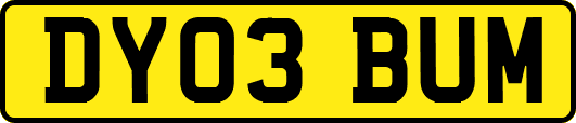 DY03BUM