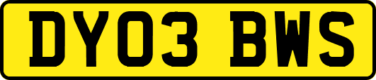 DY03BWS