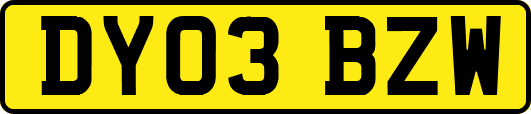 DY03BZW