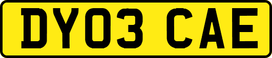 DY03CAE