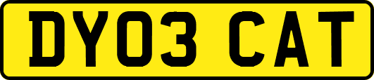 DY03CAT