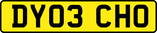 DY03CHO