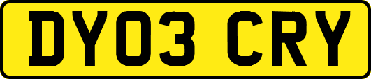 DY03CRY
