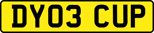 DY03CUP