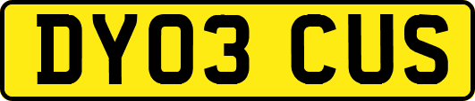 DY03CUS