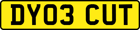 DY03CUT