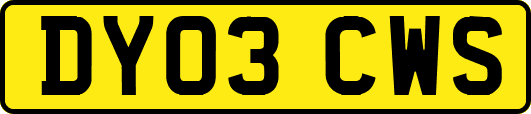DY03CWS