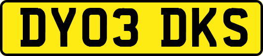 DY03DKS
