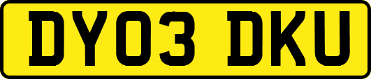 DY03DKU