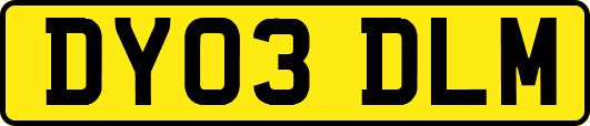 DY03DLM