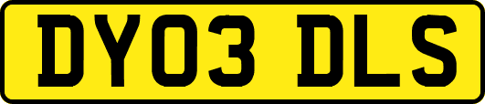 DY03DLS
