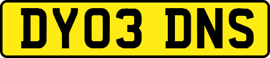 DY03DNS