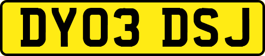 DY03DSJ