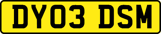 DY03DSM