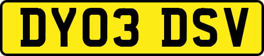 DY03DSV