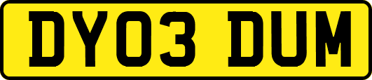 DY03DUM