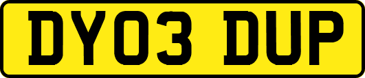 DY03DUP