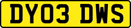 DY03DWS