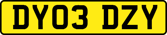 DY03DZY