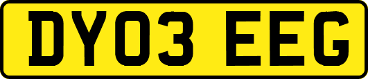 DY03EEG