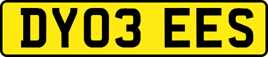 DY03EES