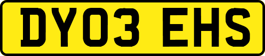 DY03EHS
