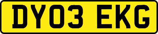 DY03EKG