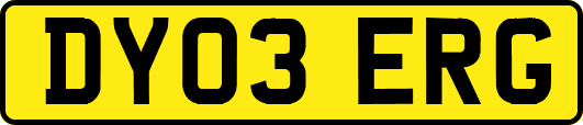 DY03ERG