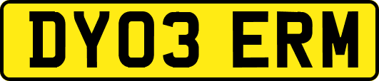 DY03ERM