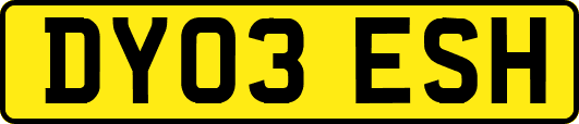 DY03ESH
