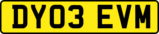 DY03EVM