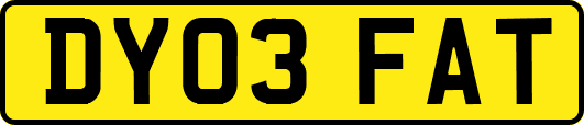 DY03FAT