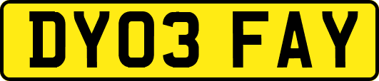 DY03FAY
