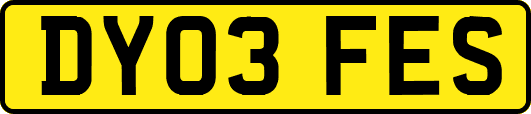 DY03FES