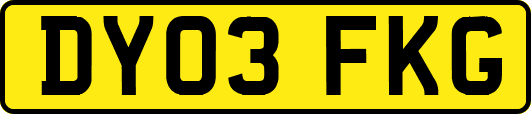 DY03FKG