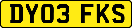 DY03FKS