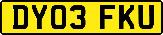 DY03FKU