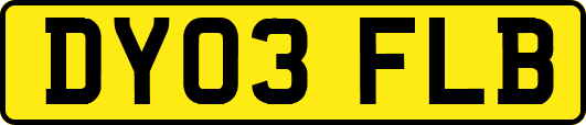 DY03FLB