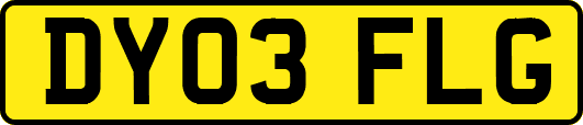 DY03FLG
