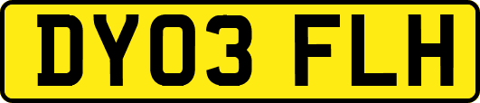 DY03FLH