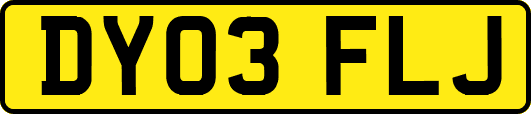 DY03FLJ