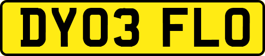 DY03FLO