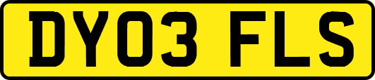 DY03FLS