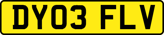 DY03FLV