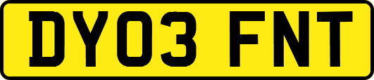 DY03FNT