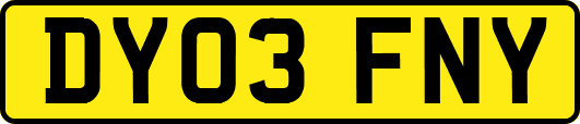 DY03FNY