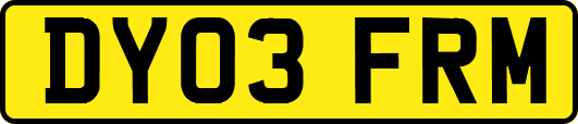 DY03FRM