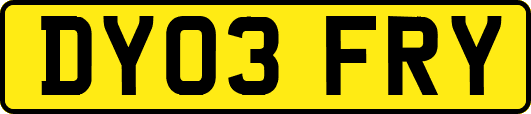DY03FRY